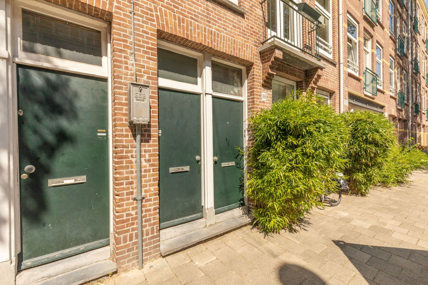 Foto 29 van Borgerstraat 266-3