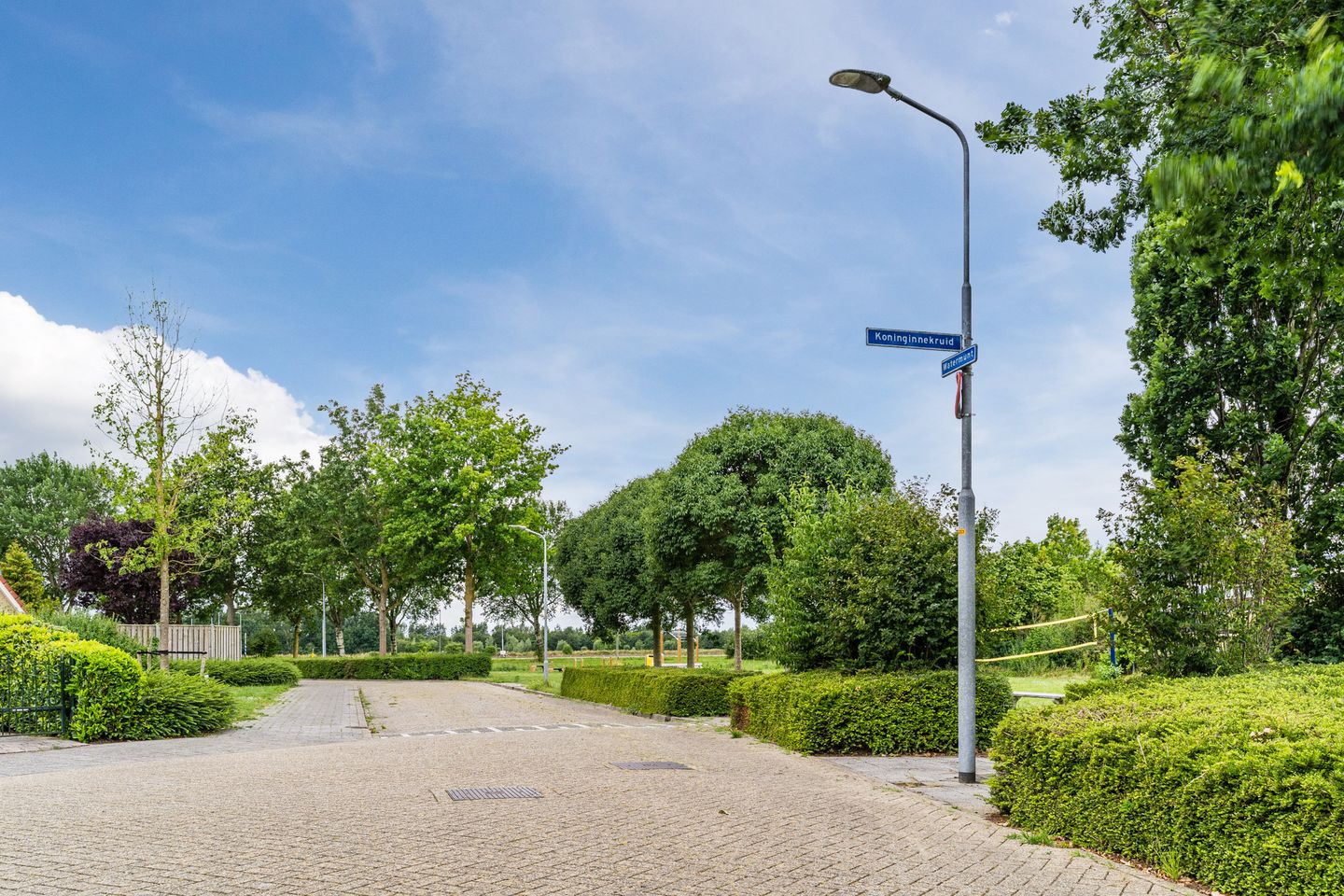 Foto 40 van Koninginnekruid 10