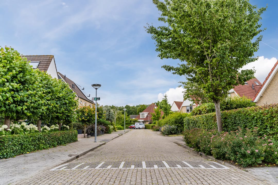 Foto 41 van Koninginnekruid 10