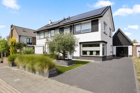 Koninginnelaan thumbnail