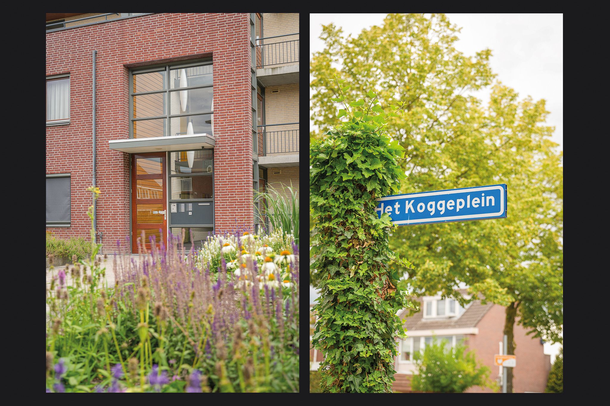 Photo 36 of het Koggeplein 11