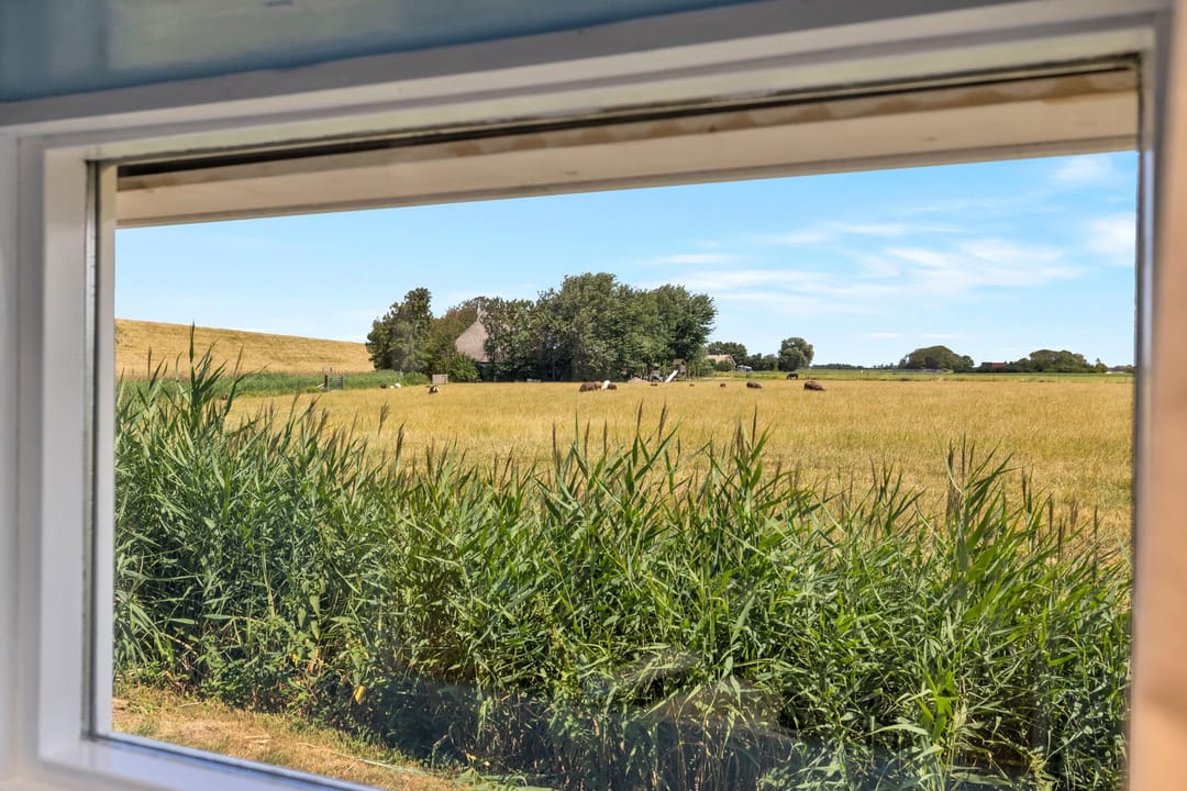 Photo 61 of 't Skoar 38