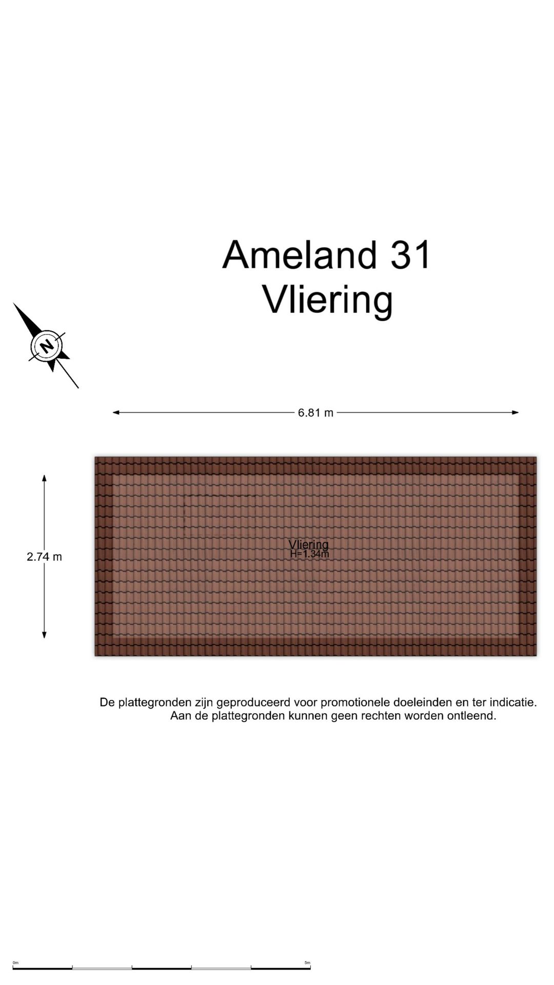 Photo 74 of Ameland 31