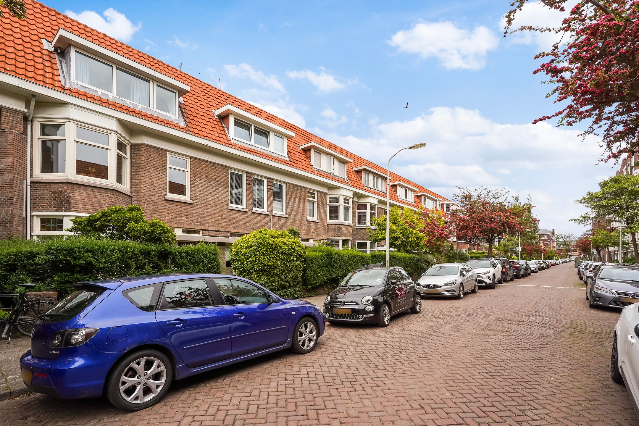 Foto 45 van Druivenstraat 69