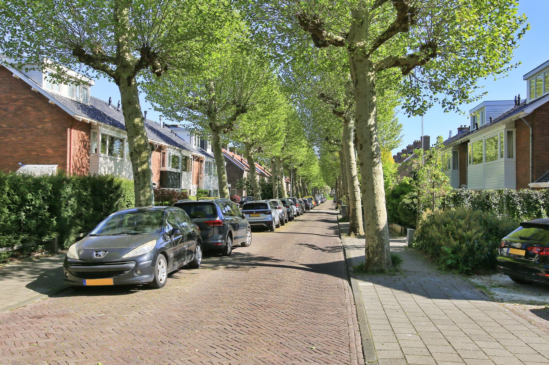 Foto 48 van Ibisstraat 48