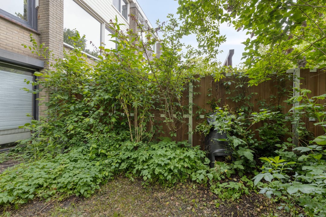 Foto 38 van Amerbos 221
