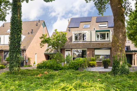 Paulus Potterstraat thumbnail
