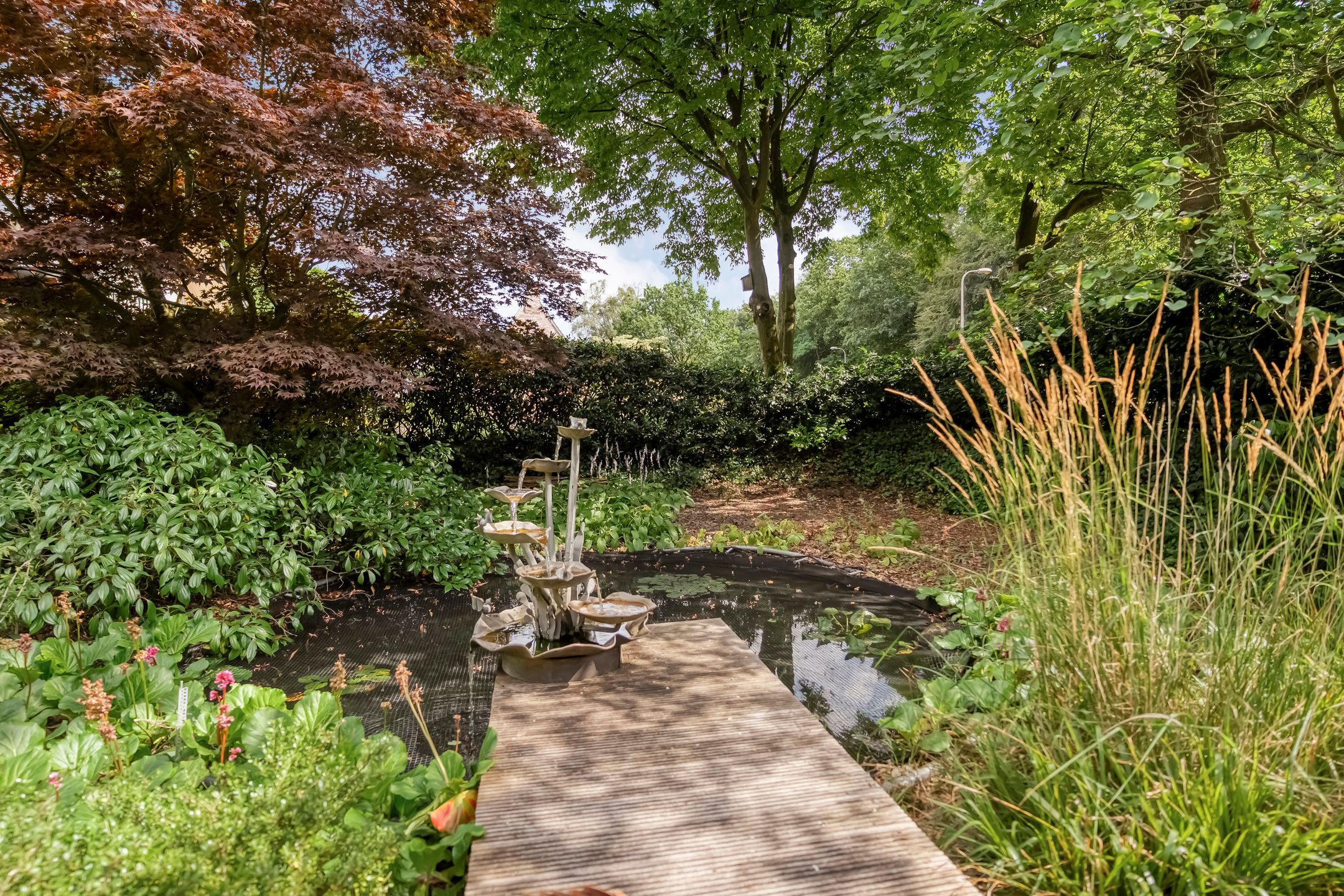Photo 6 of Enterstraat 97