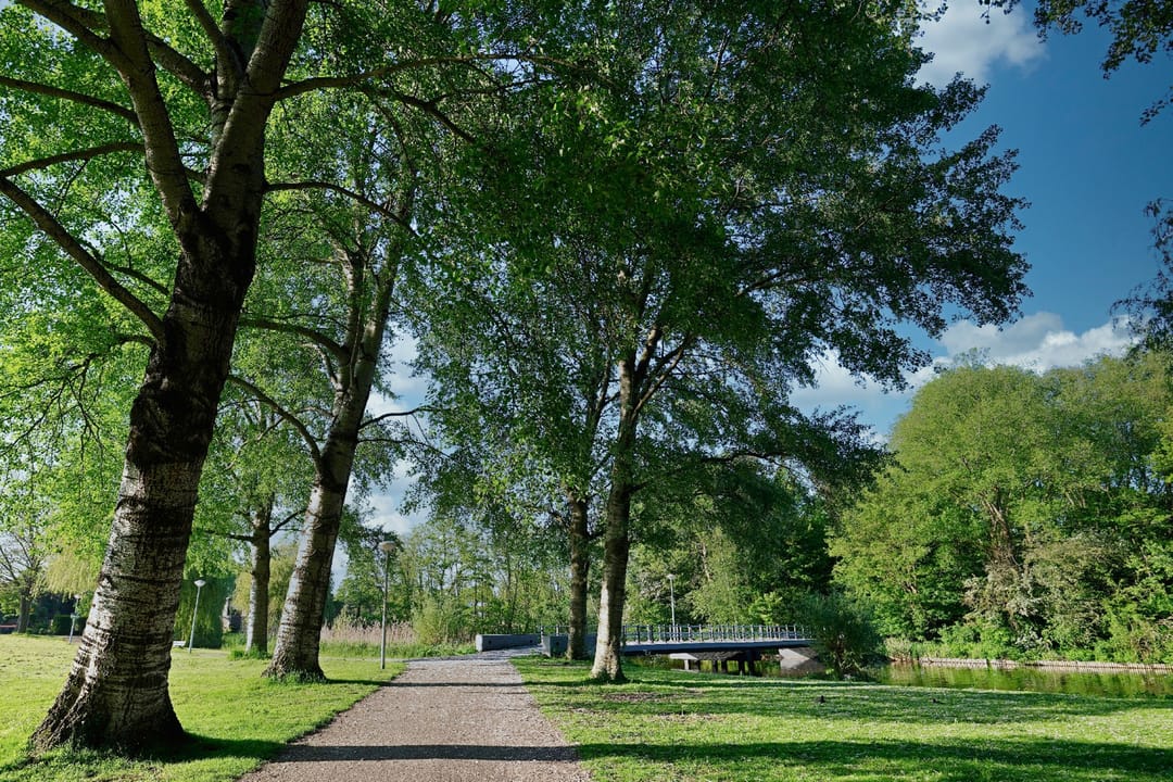 Photo 53 of Gaandeweg 85