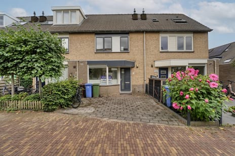 Ierlandstraat thumbnail