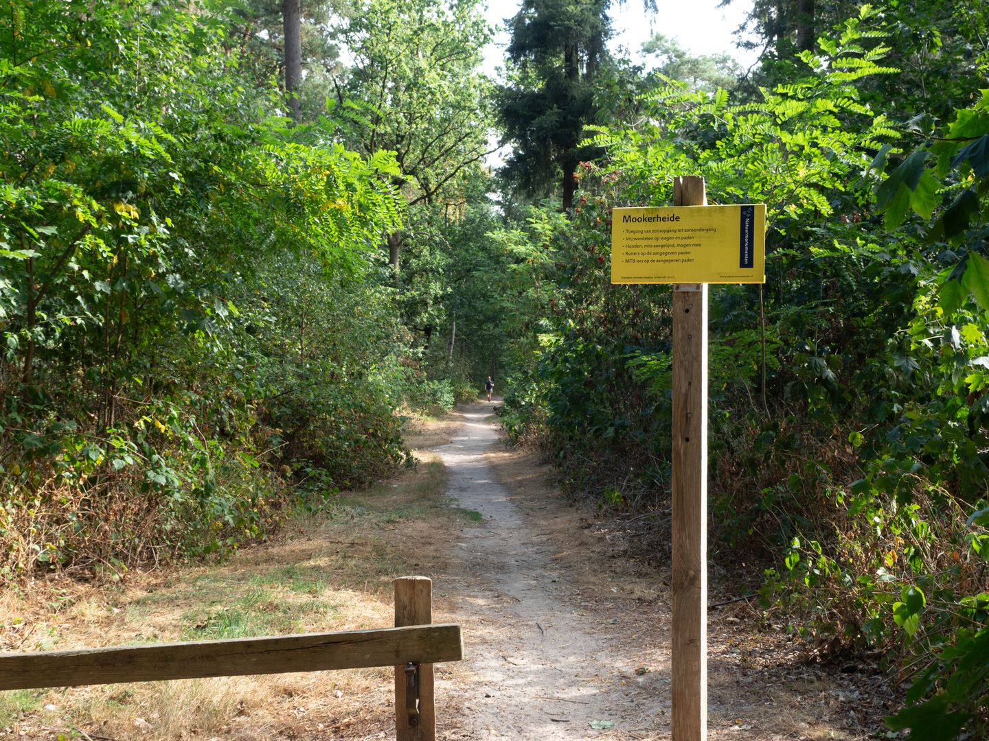 Photo 29 of Zandsteeg 27