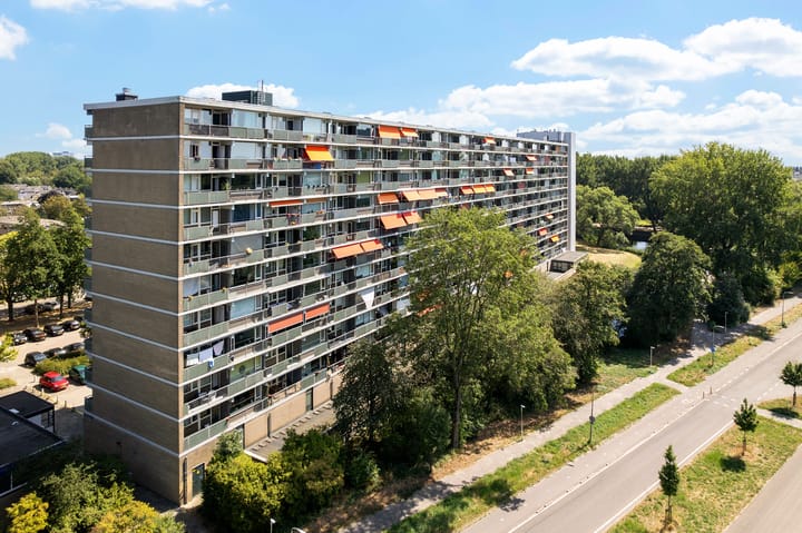 Foto 4 van Stadhoudersring 386