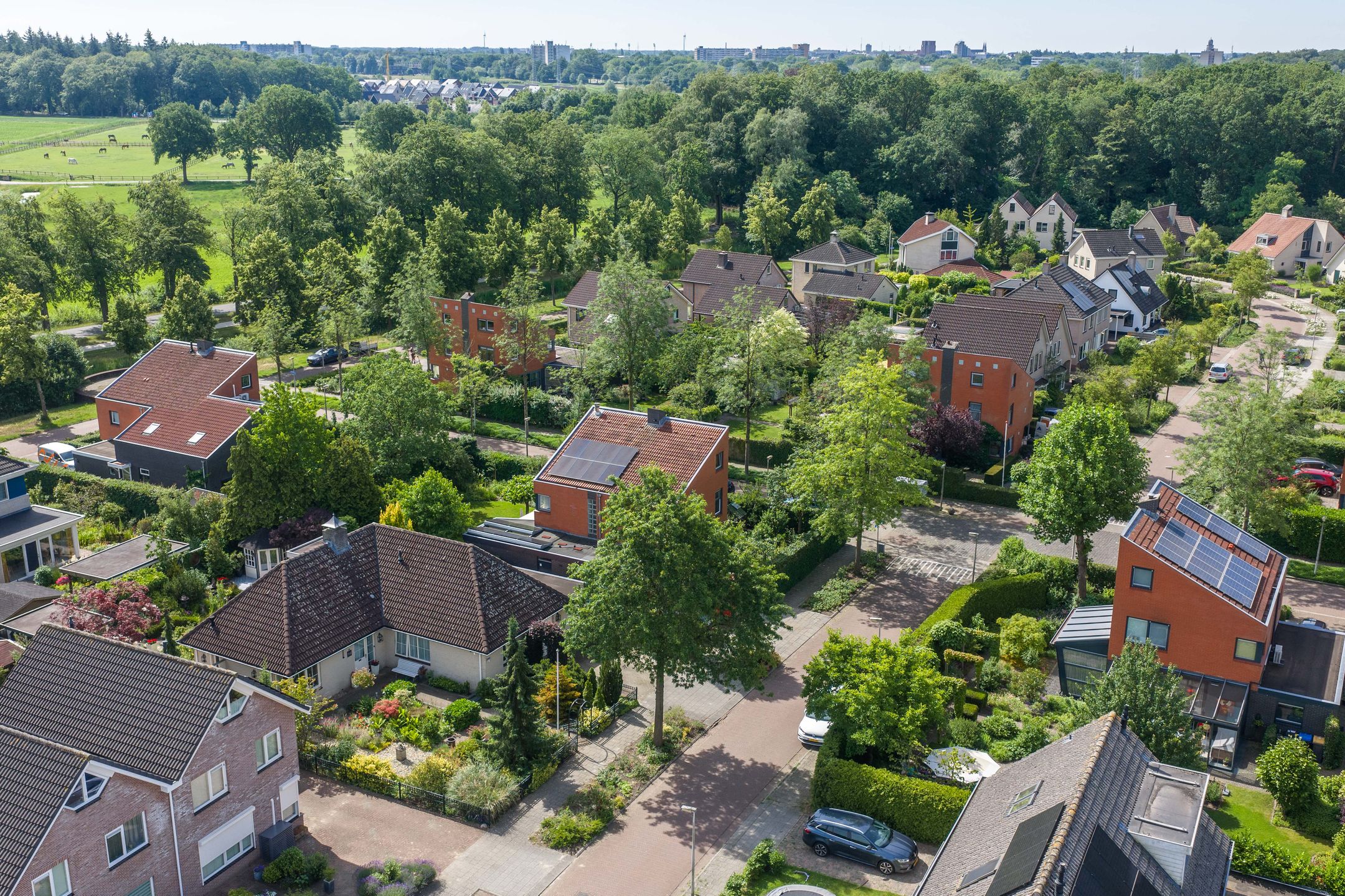 Photo 51 of Schimmelpennincksingel 96