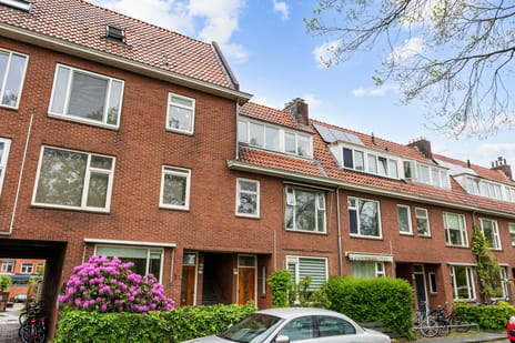 Hoendiep thumbnail