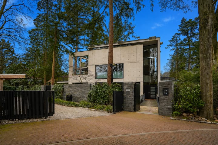 Foto 3 van Esdoornlaan 4