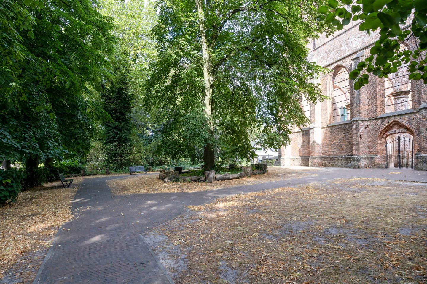 Foto 40 van Kardinaal van Rossumstraat 84