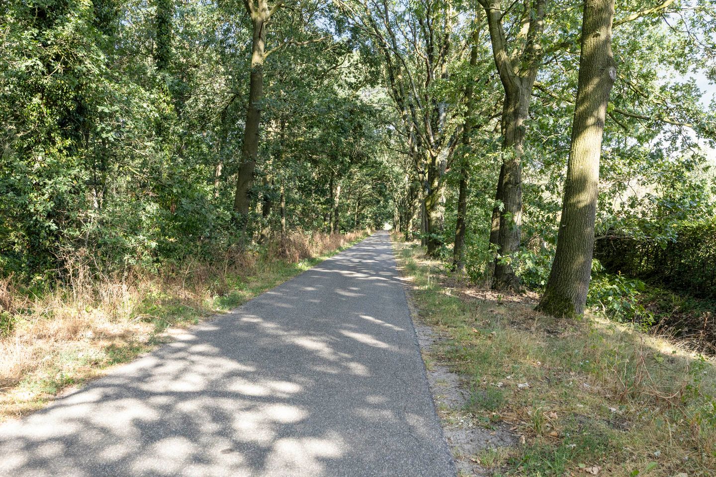 Photo 50 of Zevenhuizenbaan 1