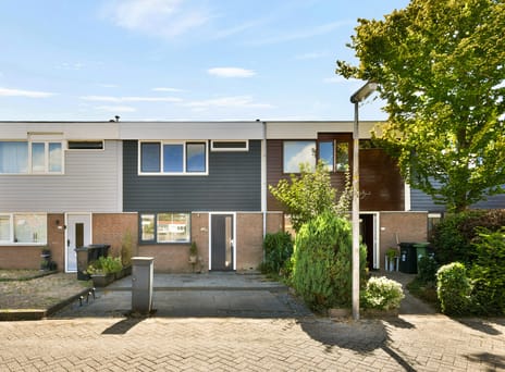 Schoofstraat thumbnail