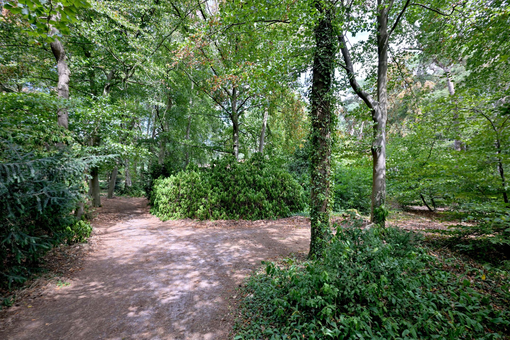Photo 30 of Oude Larenseweg 77