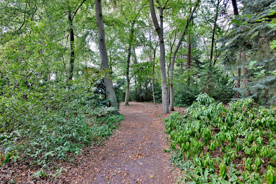 Photo 28 of Oude Larenseweg 77