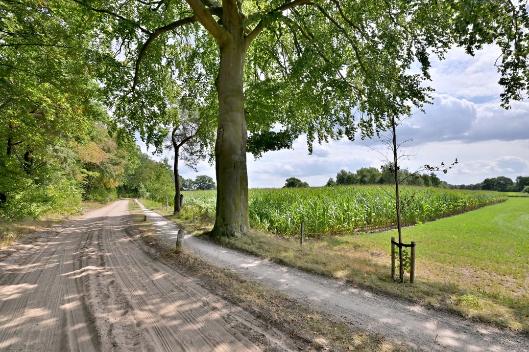 Photo 32 of Oude Larenseweg 77