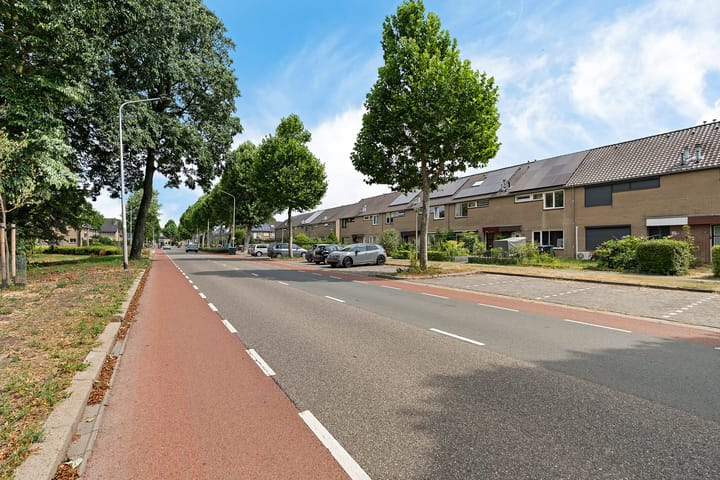 Foto 4 van Lankforst 1121