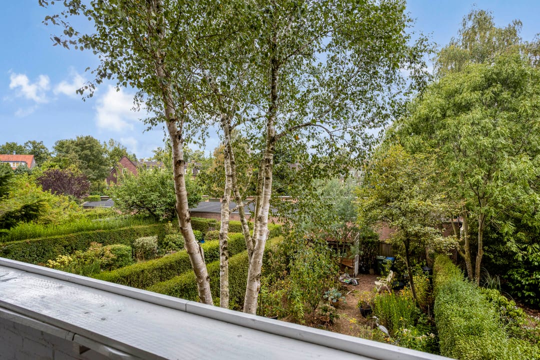 Photo 31 of Molukkenstraat 168