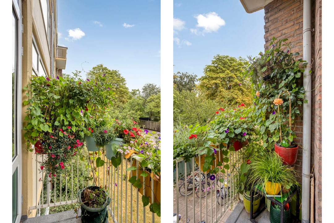 Photo 11 of Molukkenstraat 168