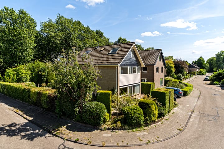 Foto 4 van De Rival 24