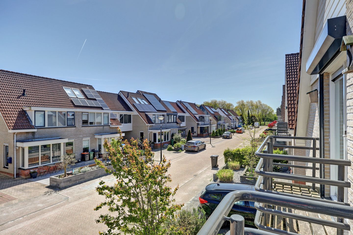 Photo 29 of Pijlkruid 23