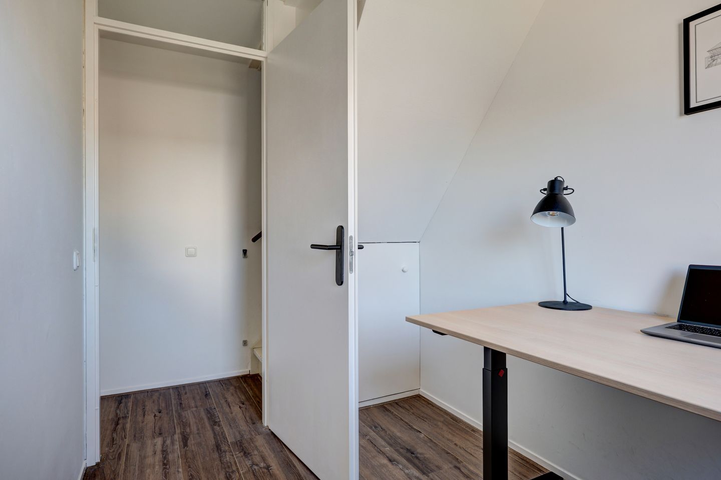 Photo 35 of Pijlkruid 23