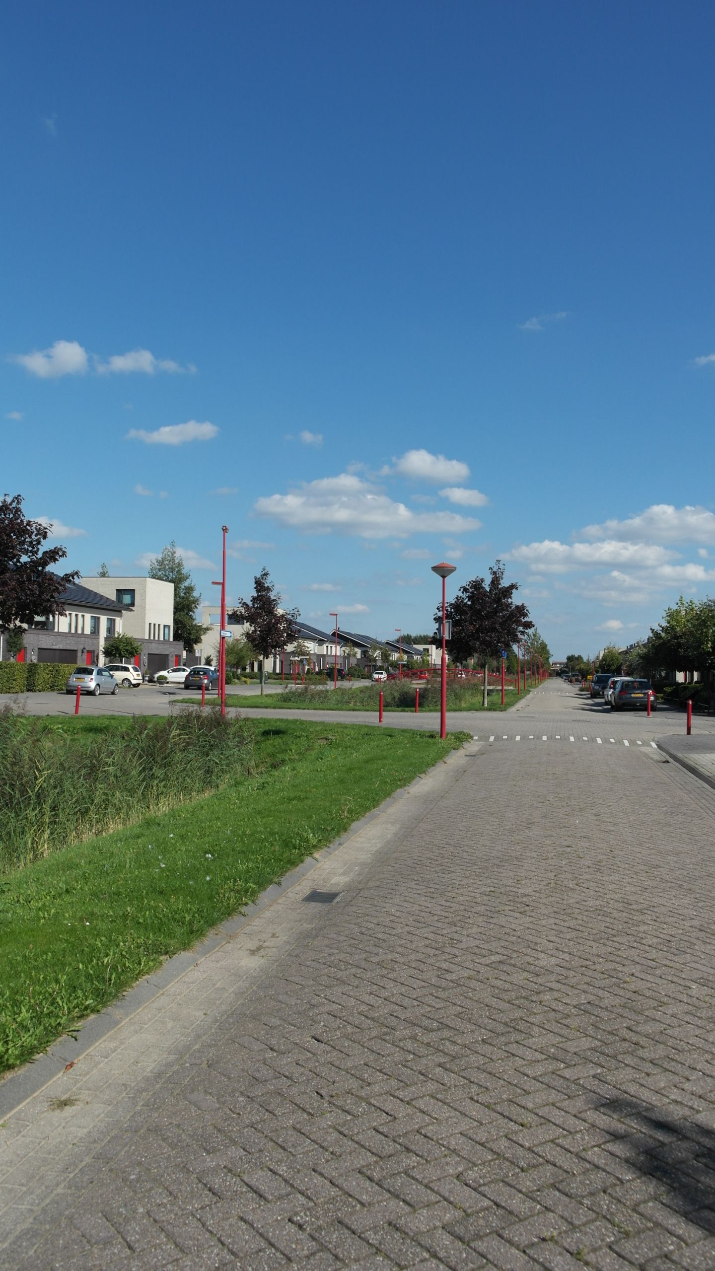 Foto 5 van Harp 1