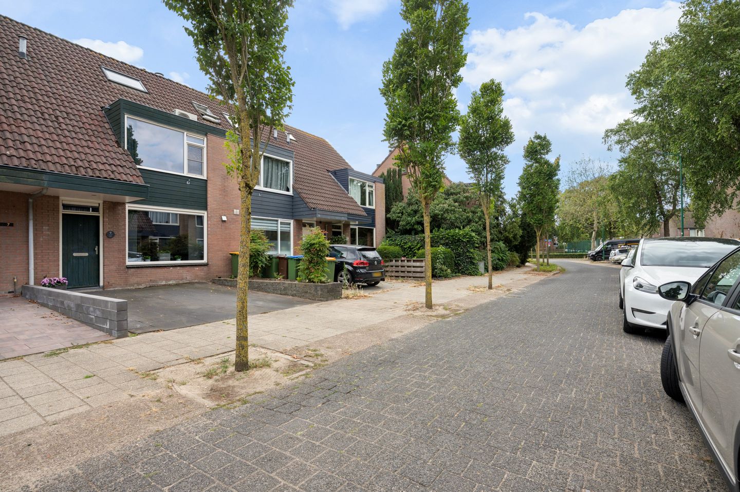 Foto 40 van Muurzwaluw 9
