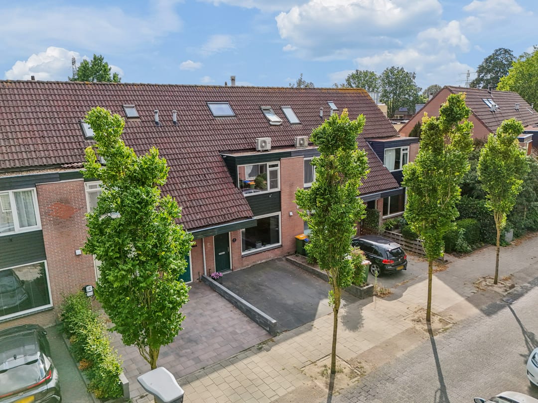 Foto 41 van Muurzwaluw 9