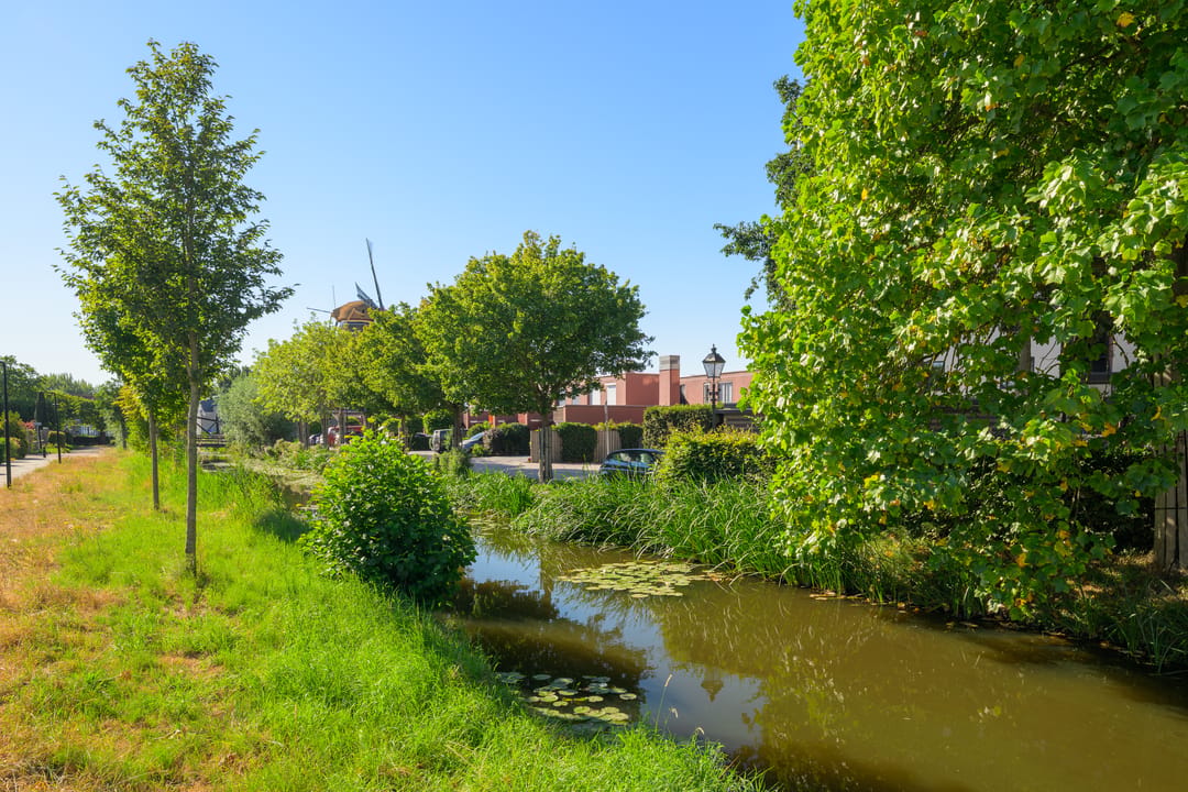 Photo 8 of Windlustsingel 19