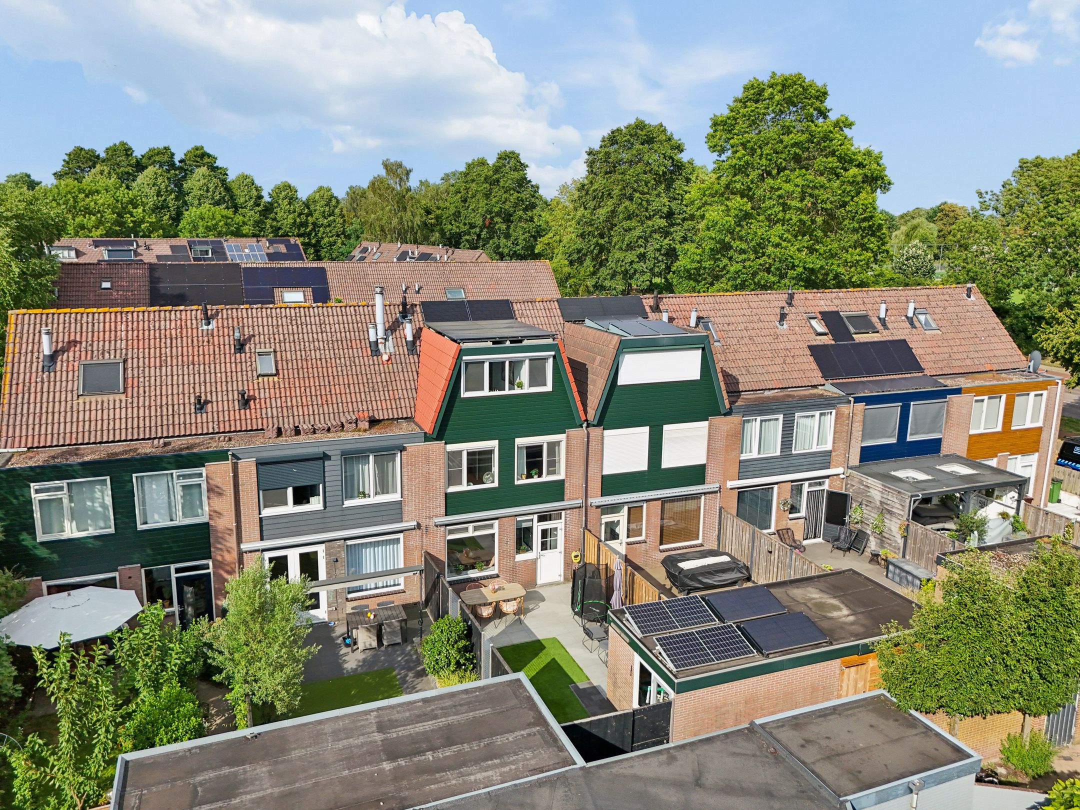 Foto 42 van Muurzwaluw 9