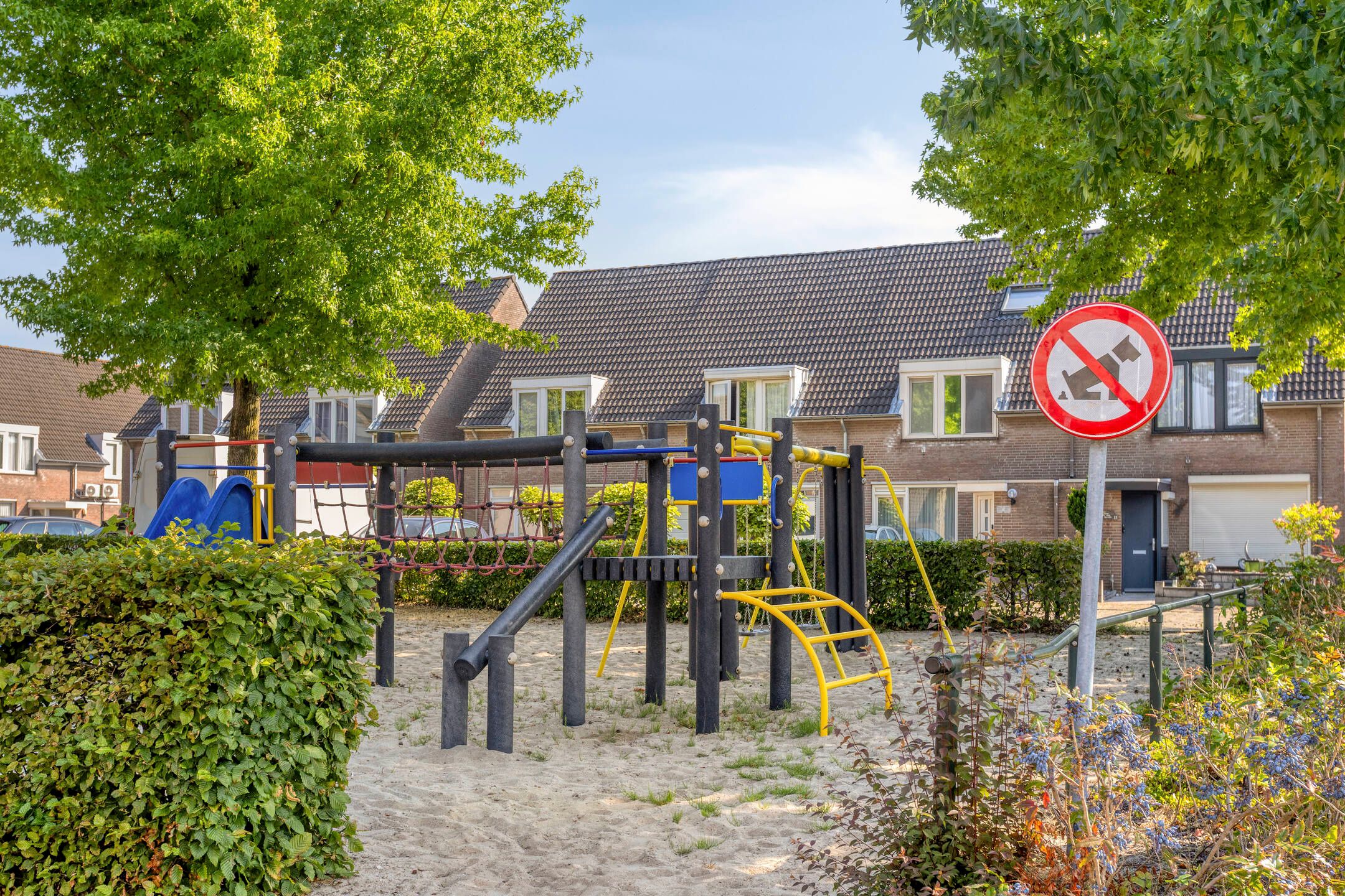 Foto 42 van De Biezen 19