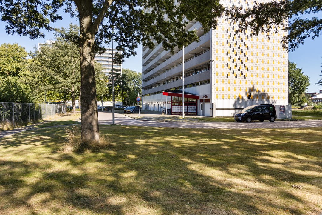 Foto 43 van Tjaarda 152