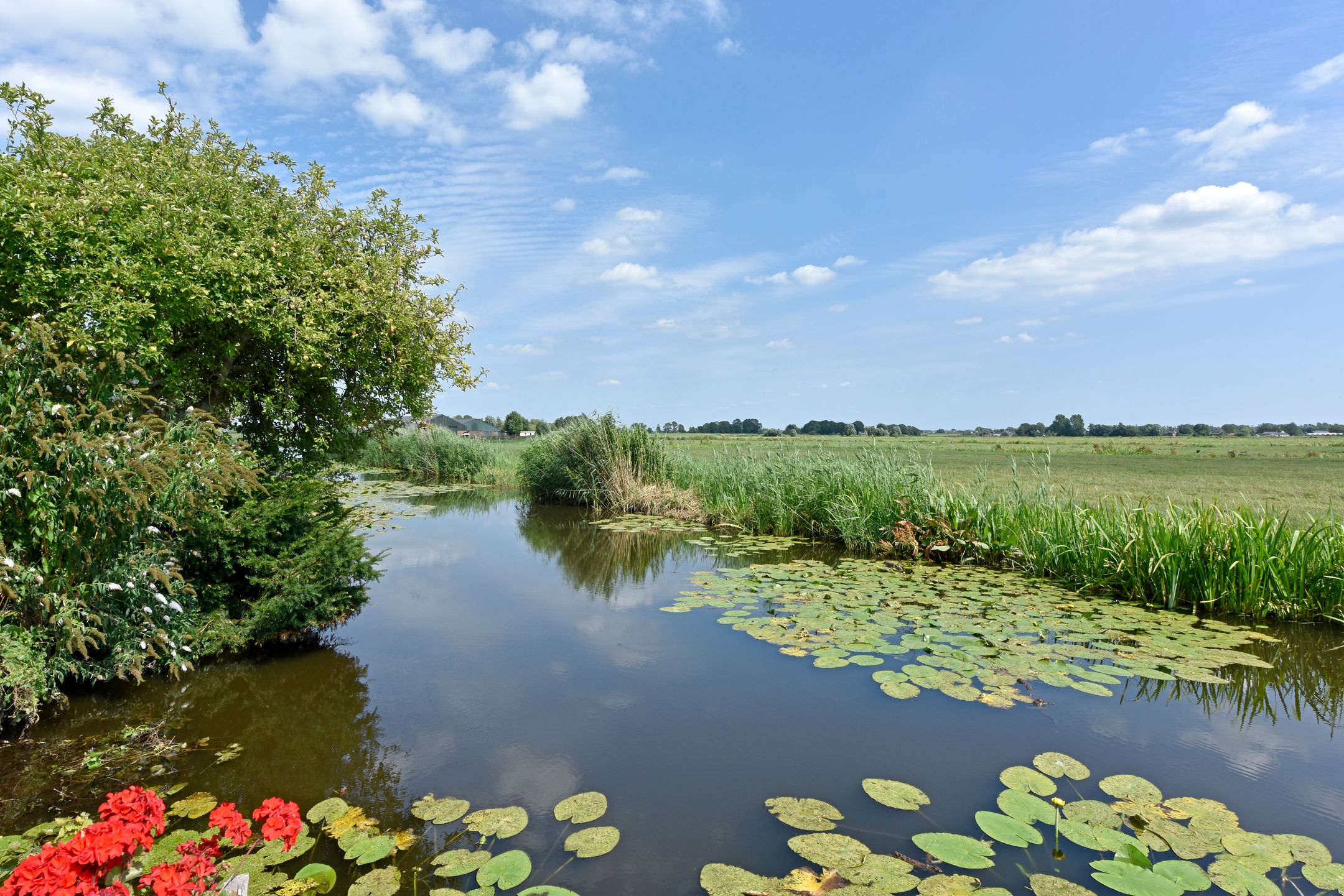 Photo 27 of Park Zomerlust 139