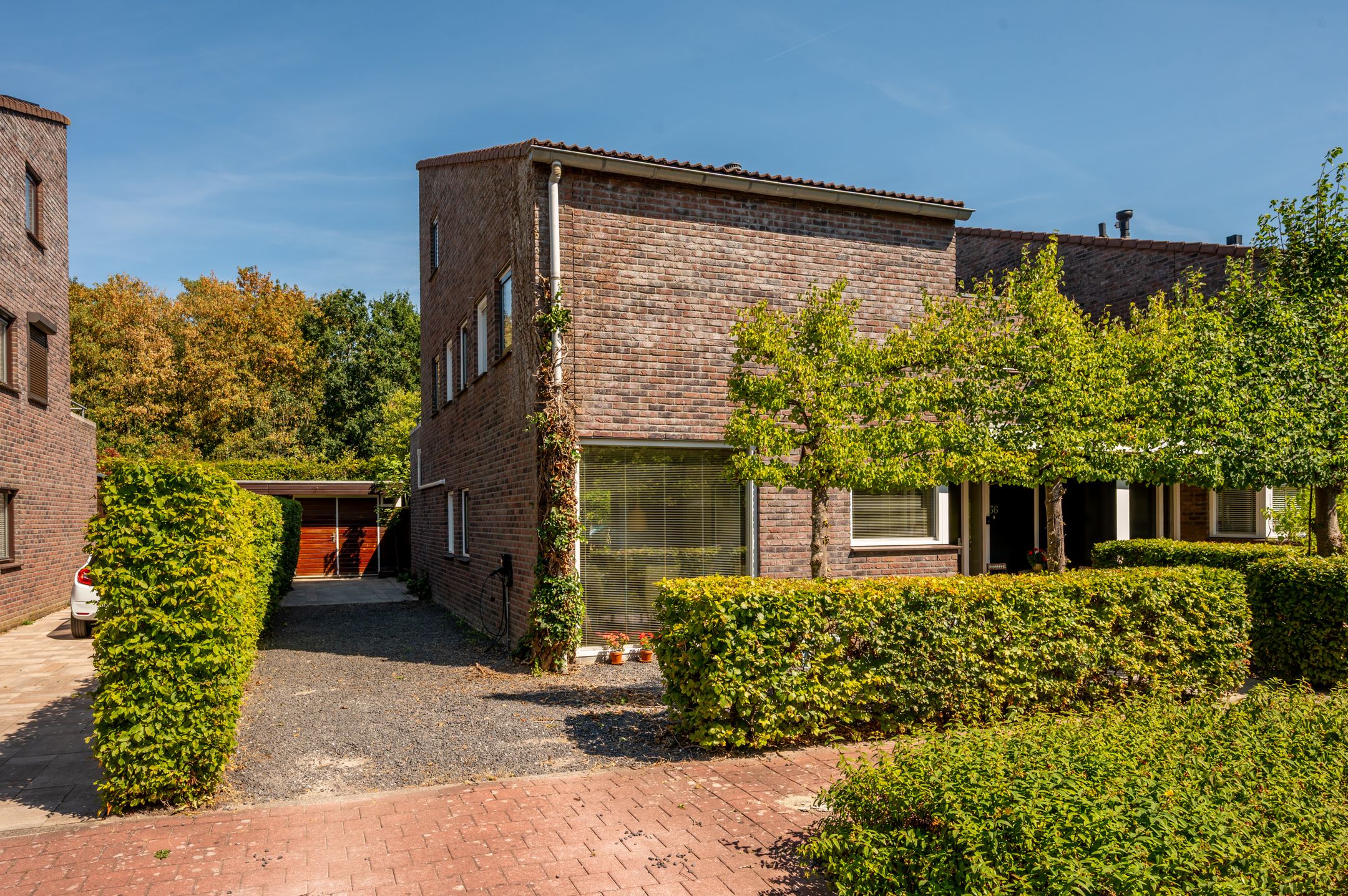 Zondaghof 36 