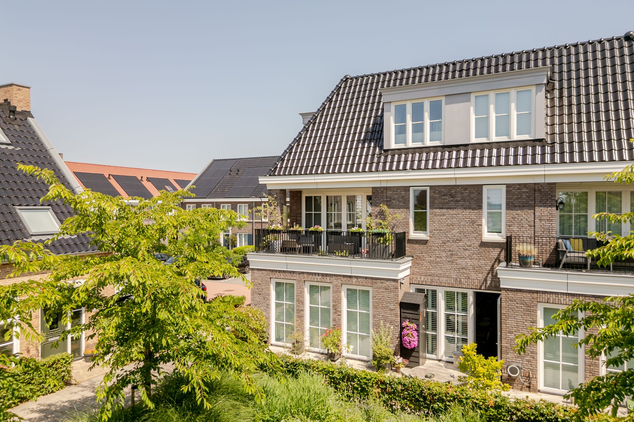 Foto 42 van Egelnest 8