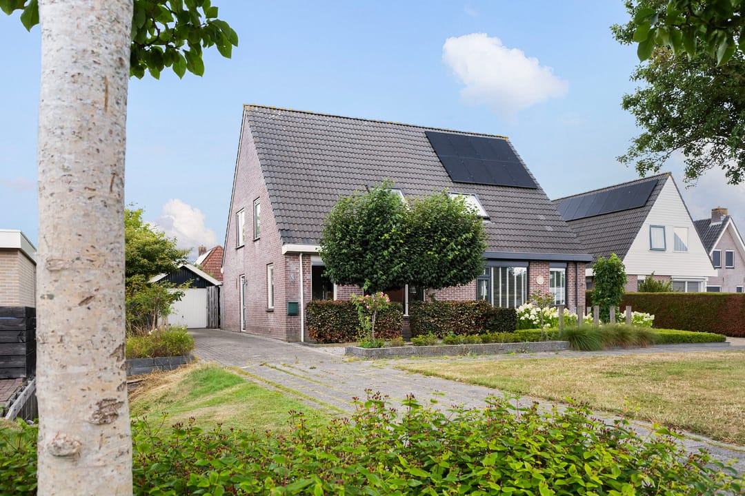 Foto 1 van Ribes 1