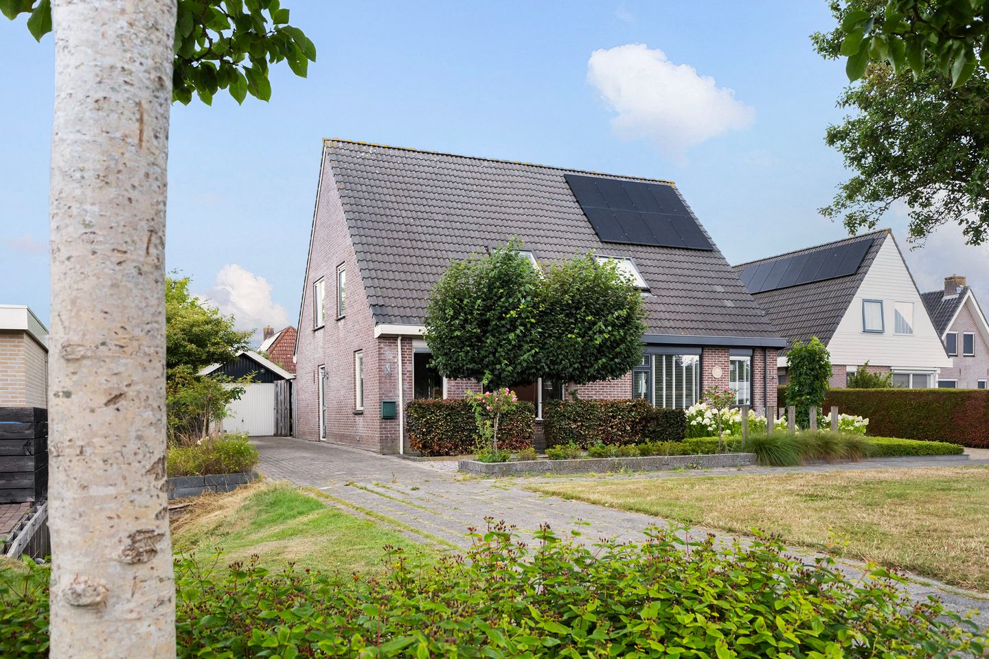 Foto 1 van Ribes 1