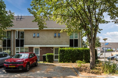 Pandabeerstraat thumbnail