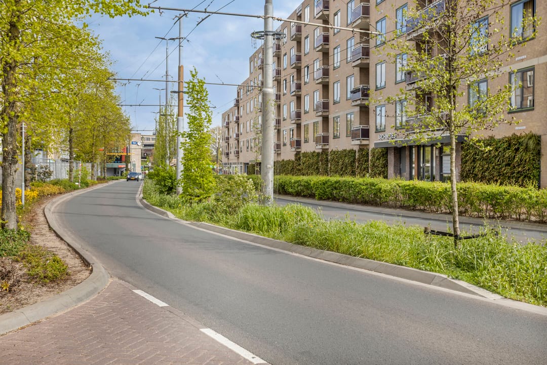 Photo 31 of Ir J.P. van Muijlwijkstraat 192