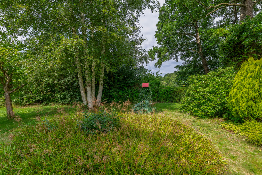 Photo 41 of Midden 51