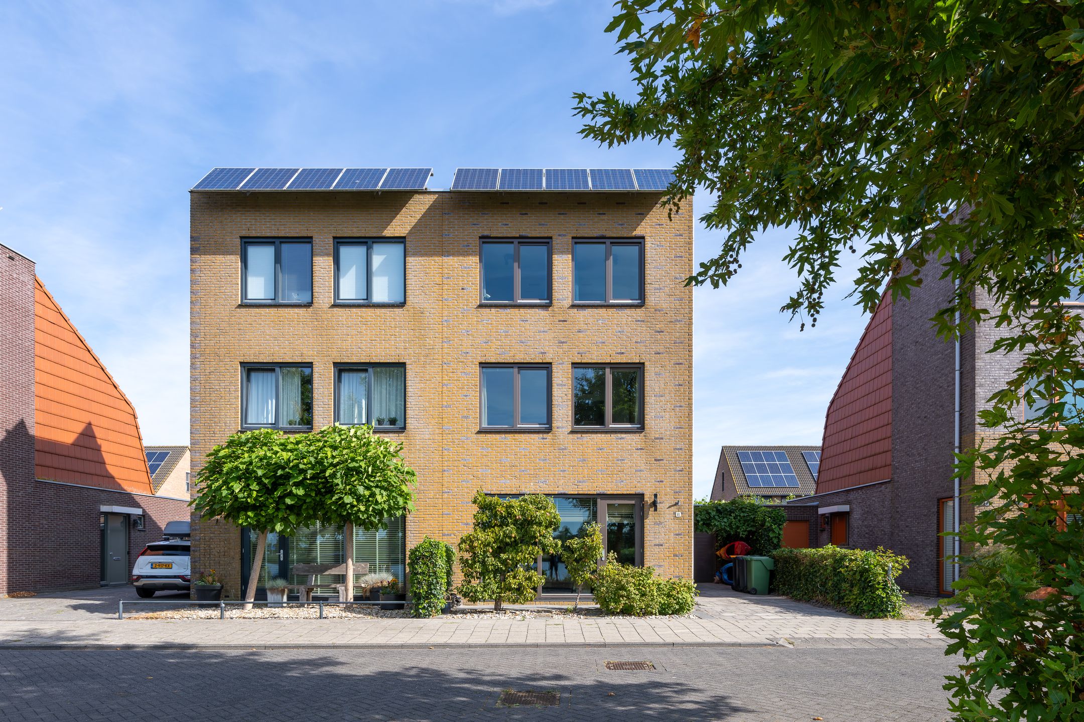 Photo 9 of Zuiderlicht 161