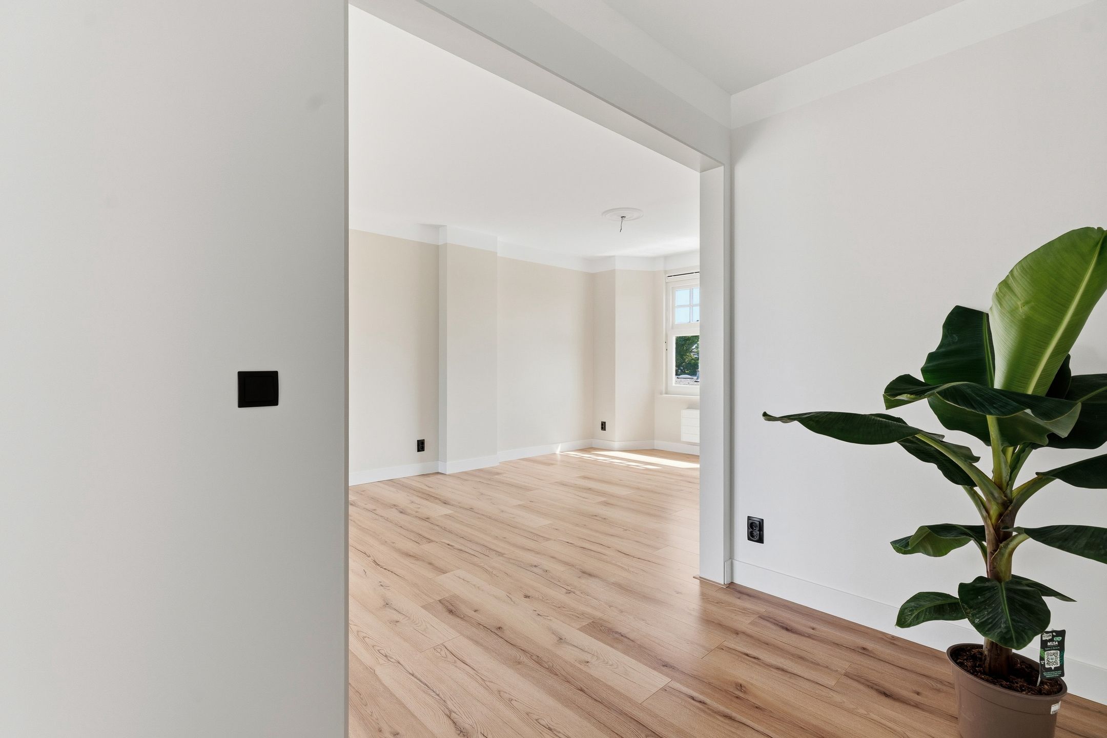 Foto 42 van Beukstraat 27-C