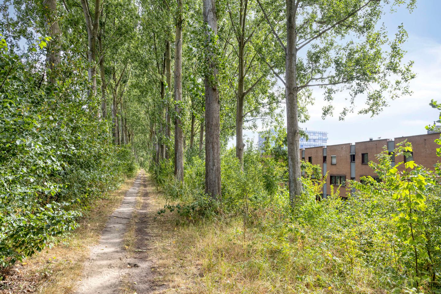 Photo 34 of Jacques Veltmanstraat 131