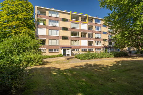 Dommelstraat thumbnail
